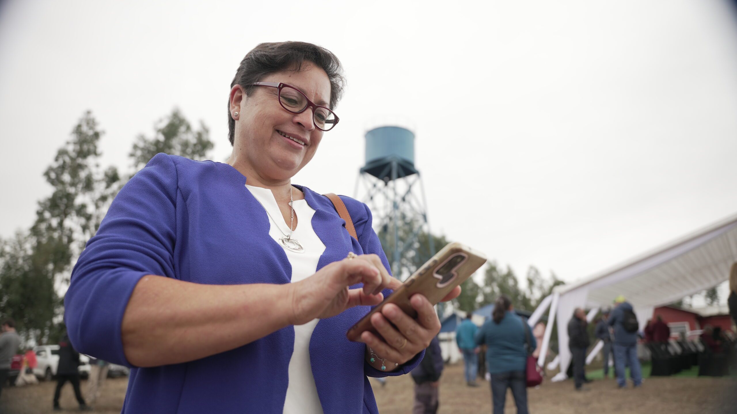 Digital Connectivity in Araucanía