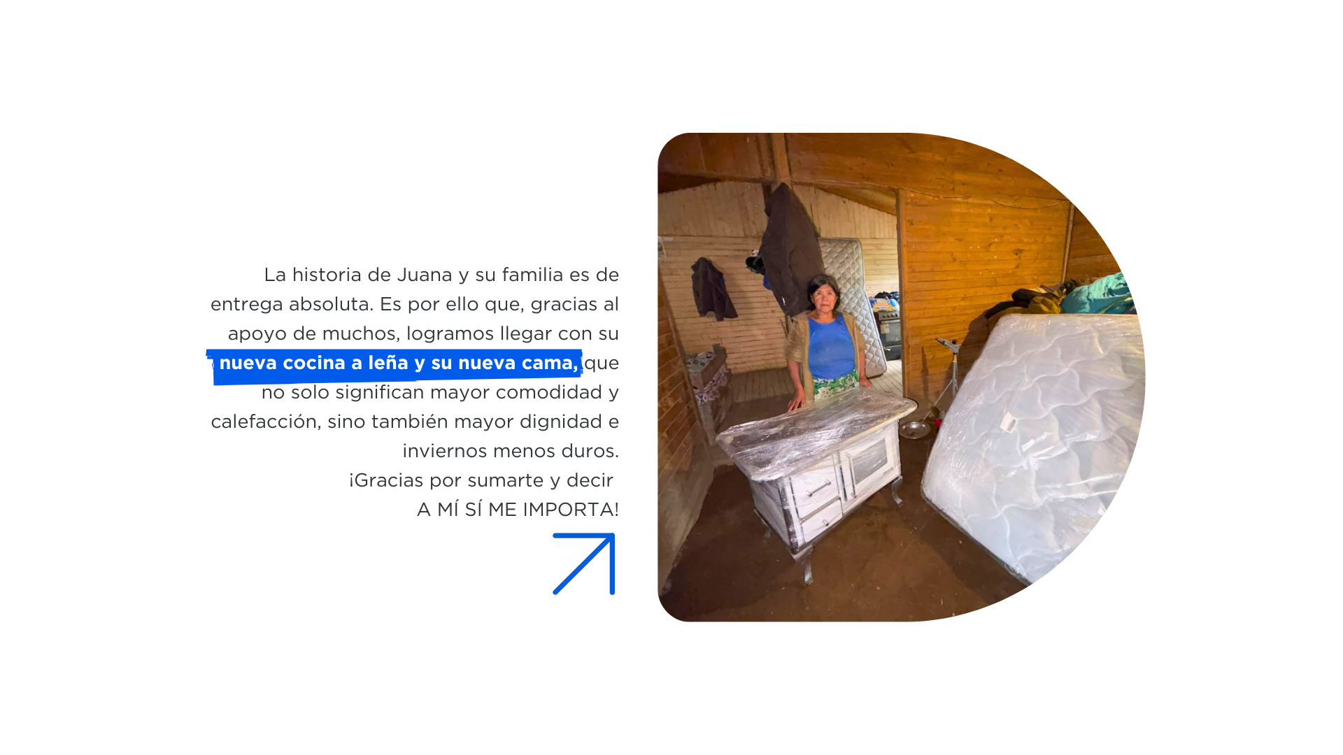 Imagen 6